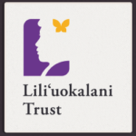 Cymber Lily Quinn, harp meditations, Hilo Hawaii